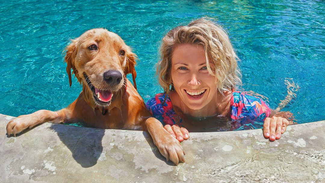 Pool Safety Tips for Pets | Pool Safet for Dogs