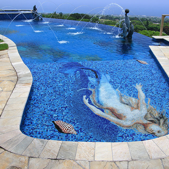 Dancing Dolphins Pool with Raised Spa & Water Jets