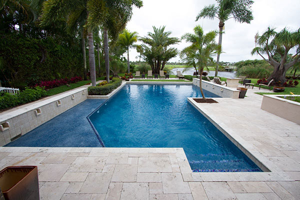 Best Plants For Landscaping Around Your, Palm Tree Landscaping Around Pool