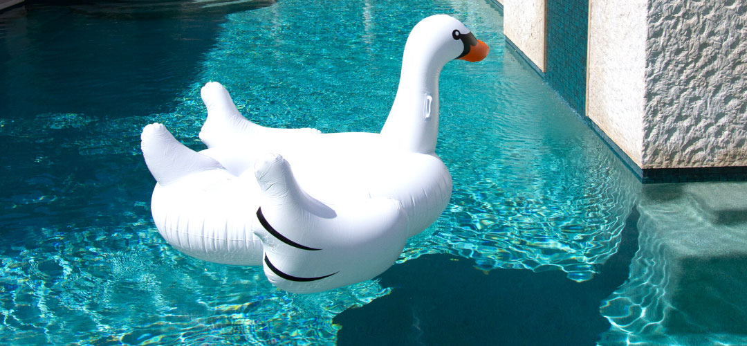 Giant Swan Inflatable Pool Float, Backyard Pool