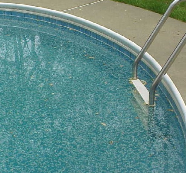 Pollen in Pool, Swimming Pool