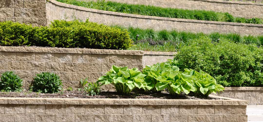 Multi Level Retaining Walls with Plants | Backyard Structure
