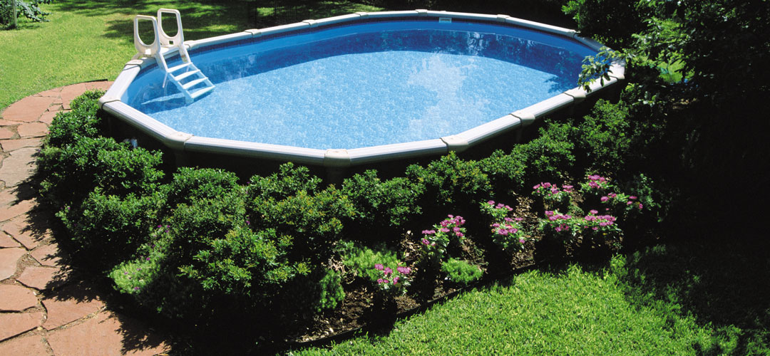 Hedges Conceal the Above Ground Pool Wall | Backyard Pool
