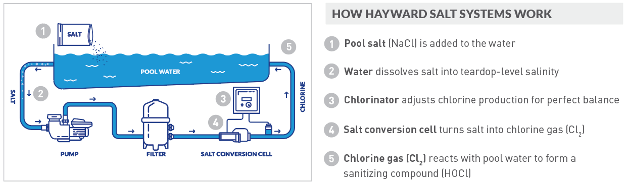 AquaRite S3 Omni, Hayward Saltwater System