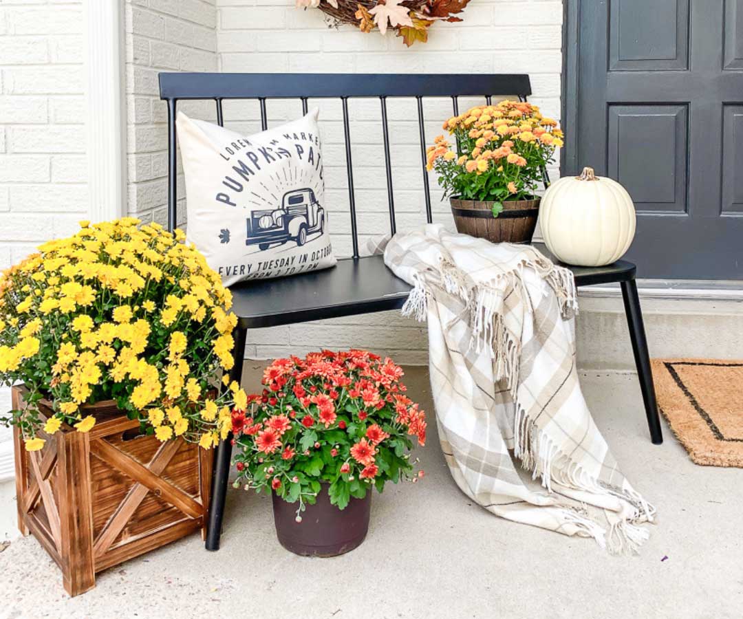 Fall Front Porch Potted Mums, Plaid Blanket and White Pumpkin.