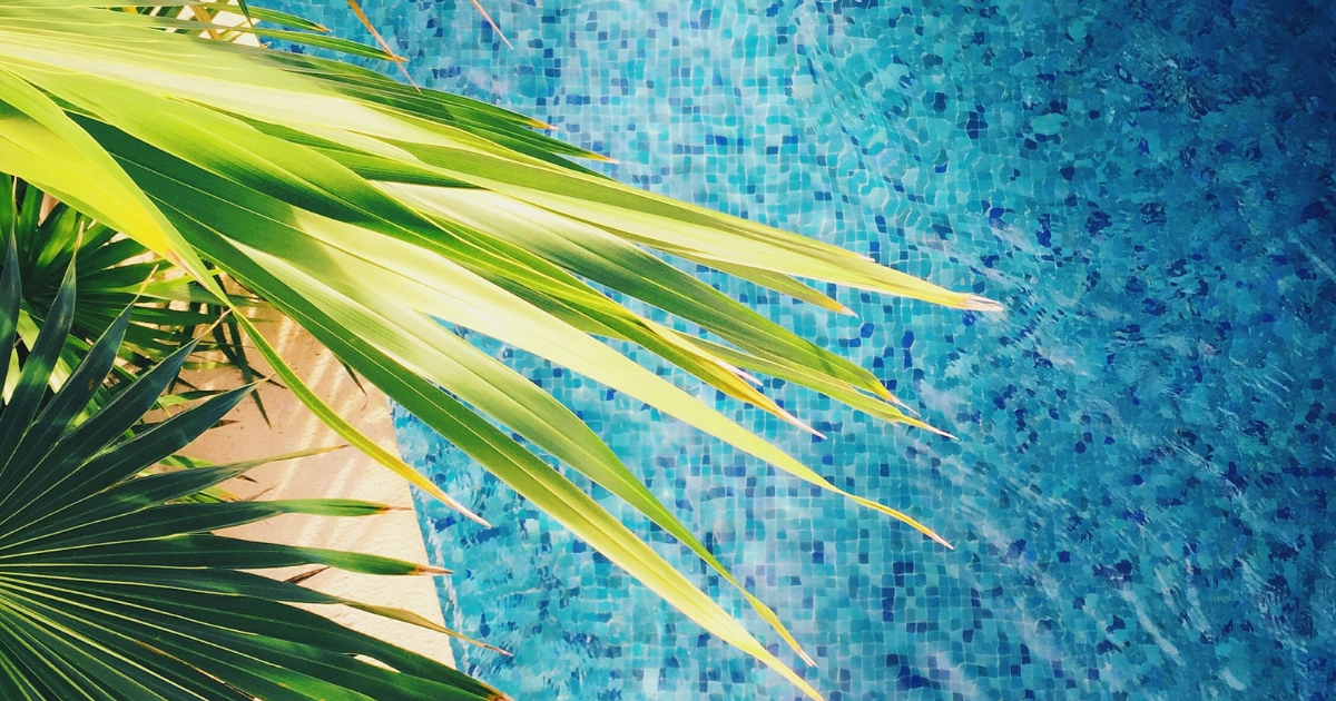 overhead view of pool with palm leaves obscuring view
