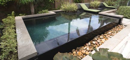 Inground Pool with In Pool Chaise Lounge, Backyard Pool