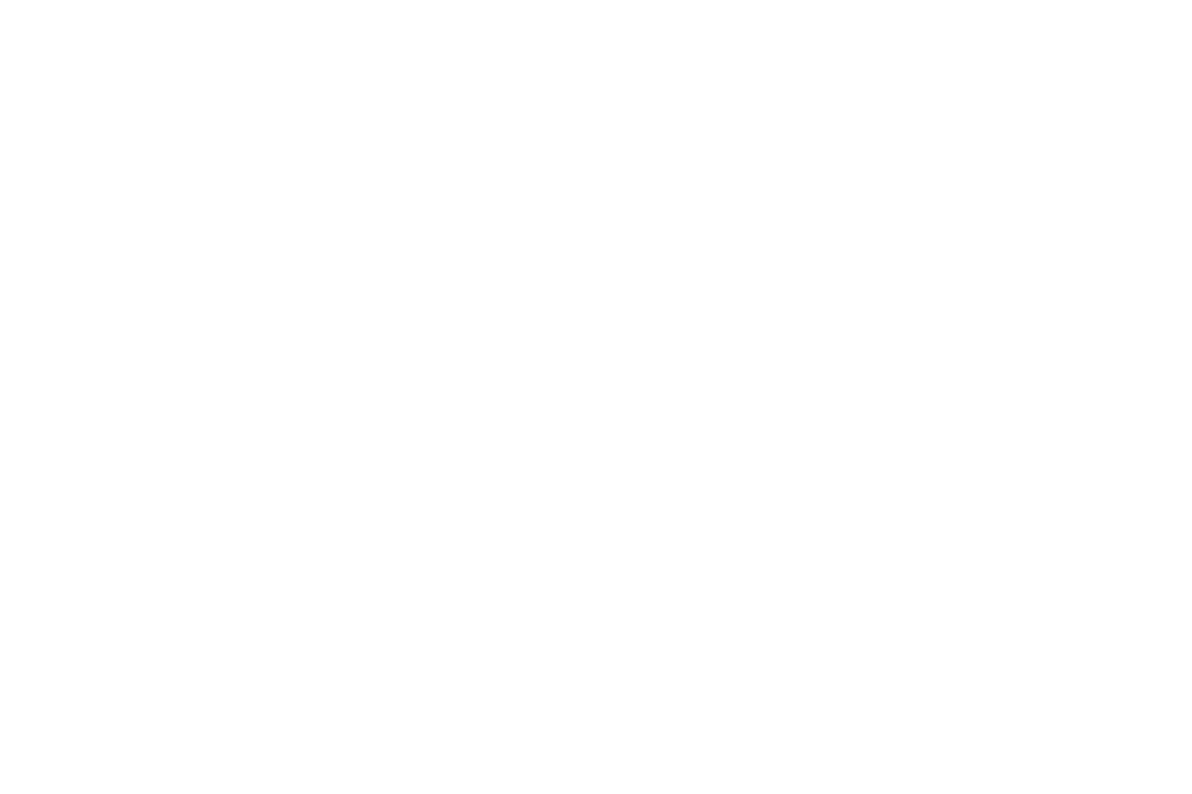 Classic Logo