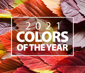 Colors of the Year