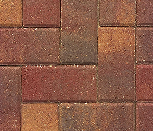 Mulled Cider Pavers