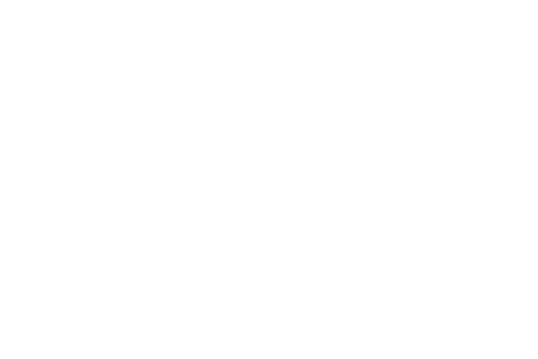 Mermaid Logo