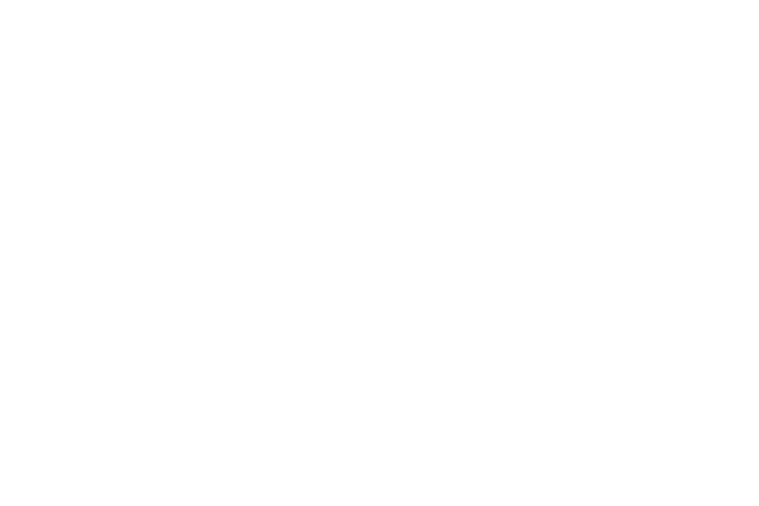 Natural Logo