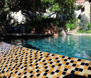 Natural - Golden Tile on edge of Freeform Pool