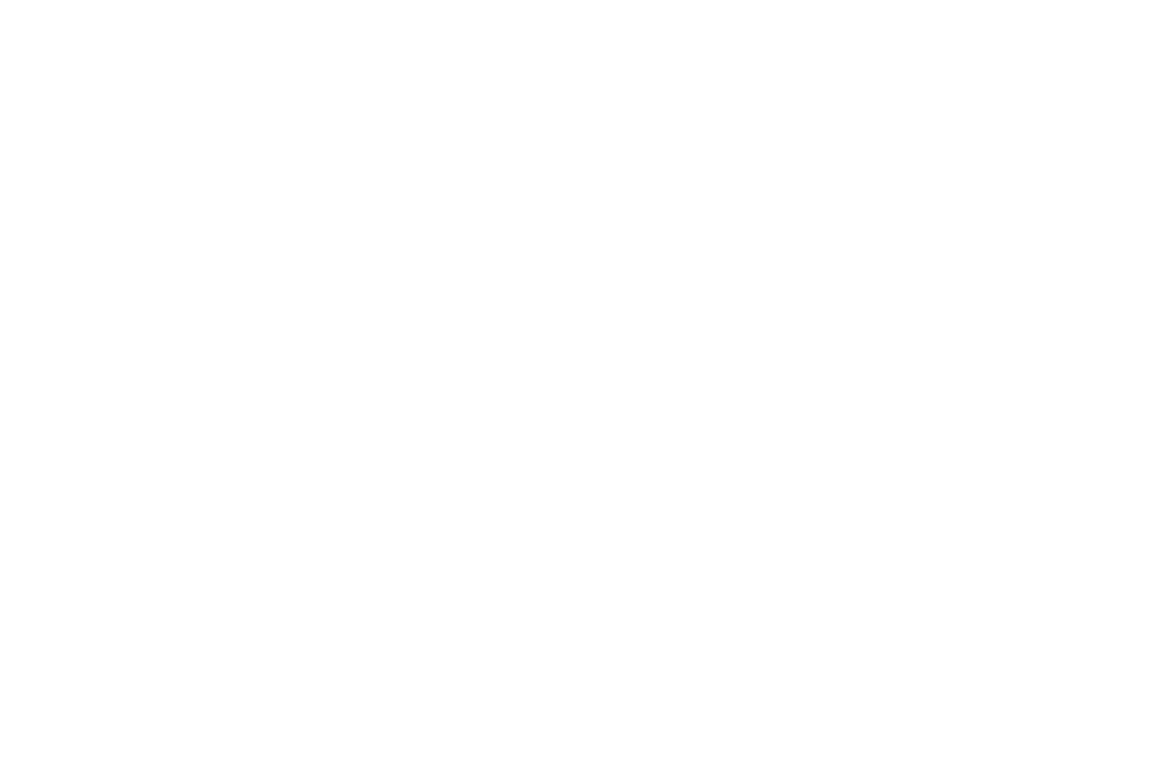 Rustic Logo