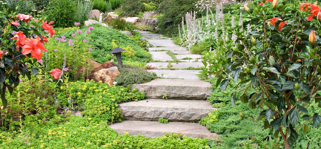 Stone Steps in Backyard, Backyard Garden
