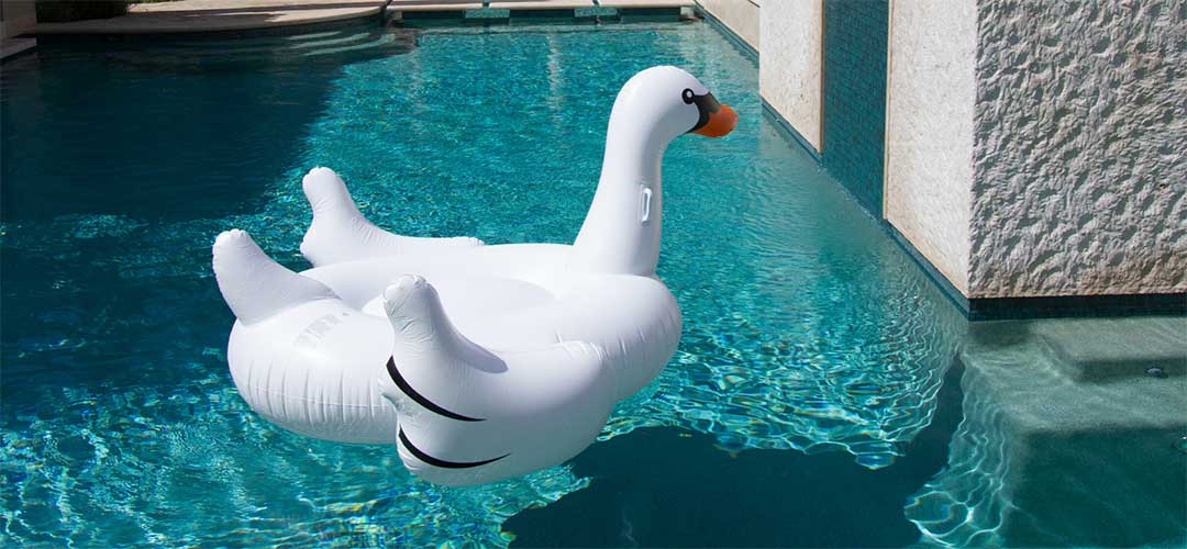 Swan Pool Float, Ingorund Pool